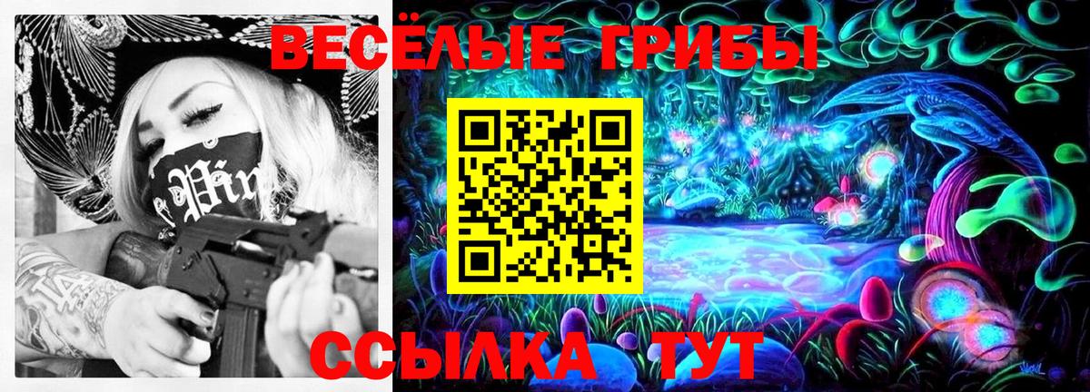 Псилоцибиновые грибы Psilocybe Валуйки